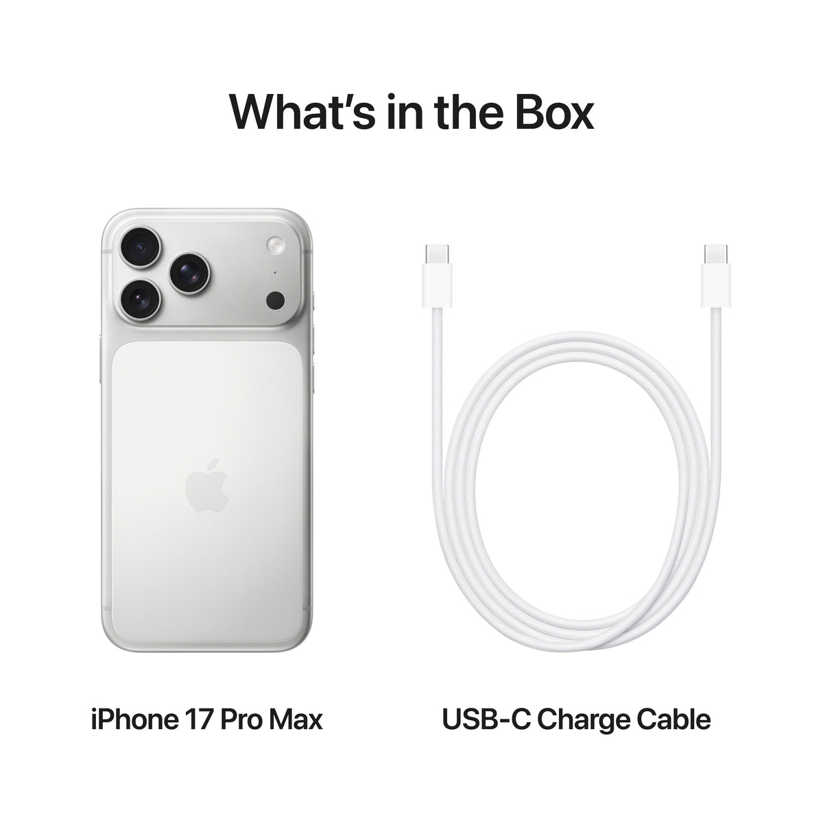 iPhone_17_Pro_Max_Silver_PDP_Image_Position_8__WWEN